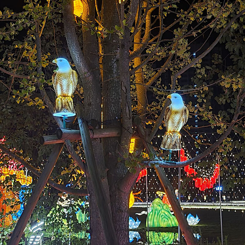 未标题-1.jpg