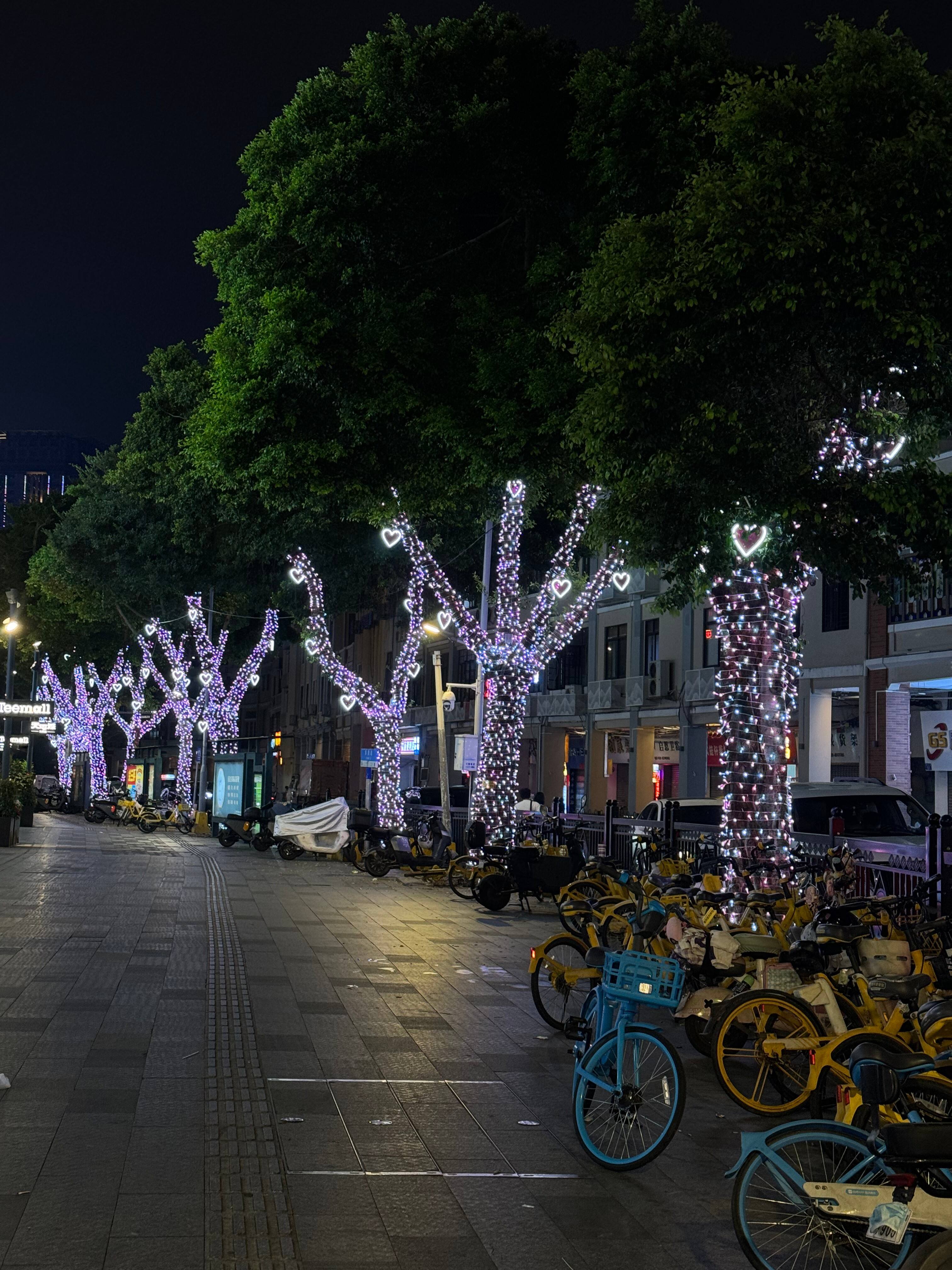 How to Choose the Best Solar Christmas Tree Lights for Your Needs