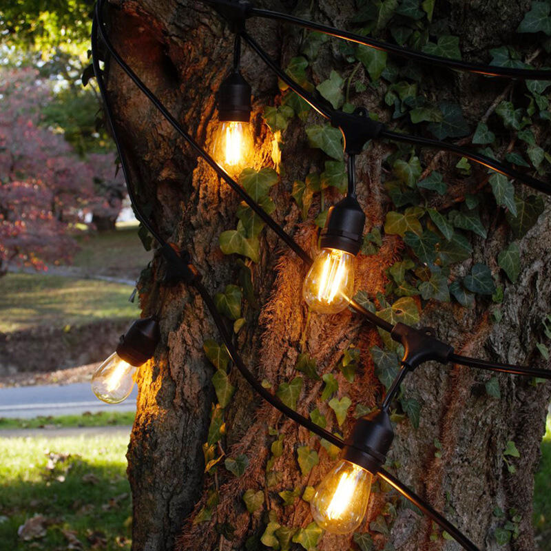 What Are the Most Popular Festoon Indoor Light Features Buyers Look For?