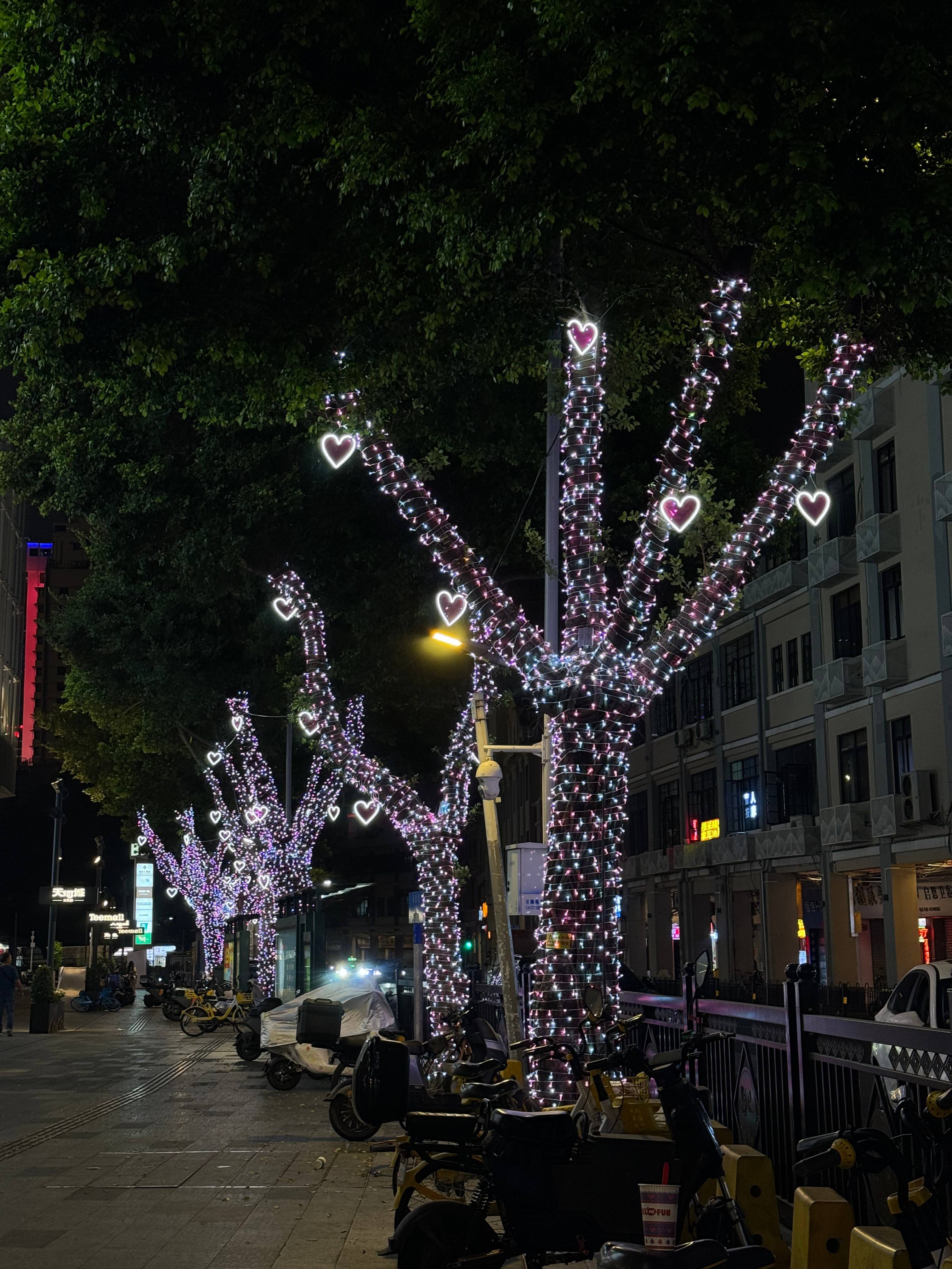 What Are the Common Issues with Outdoor Christmas Tree Lights?