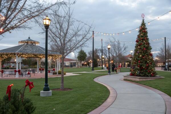 outdoor Christmas Light safety and durability outdoor Christmas Light safety and durability