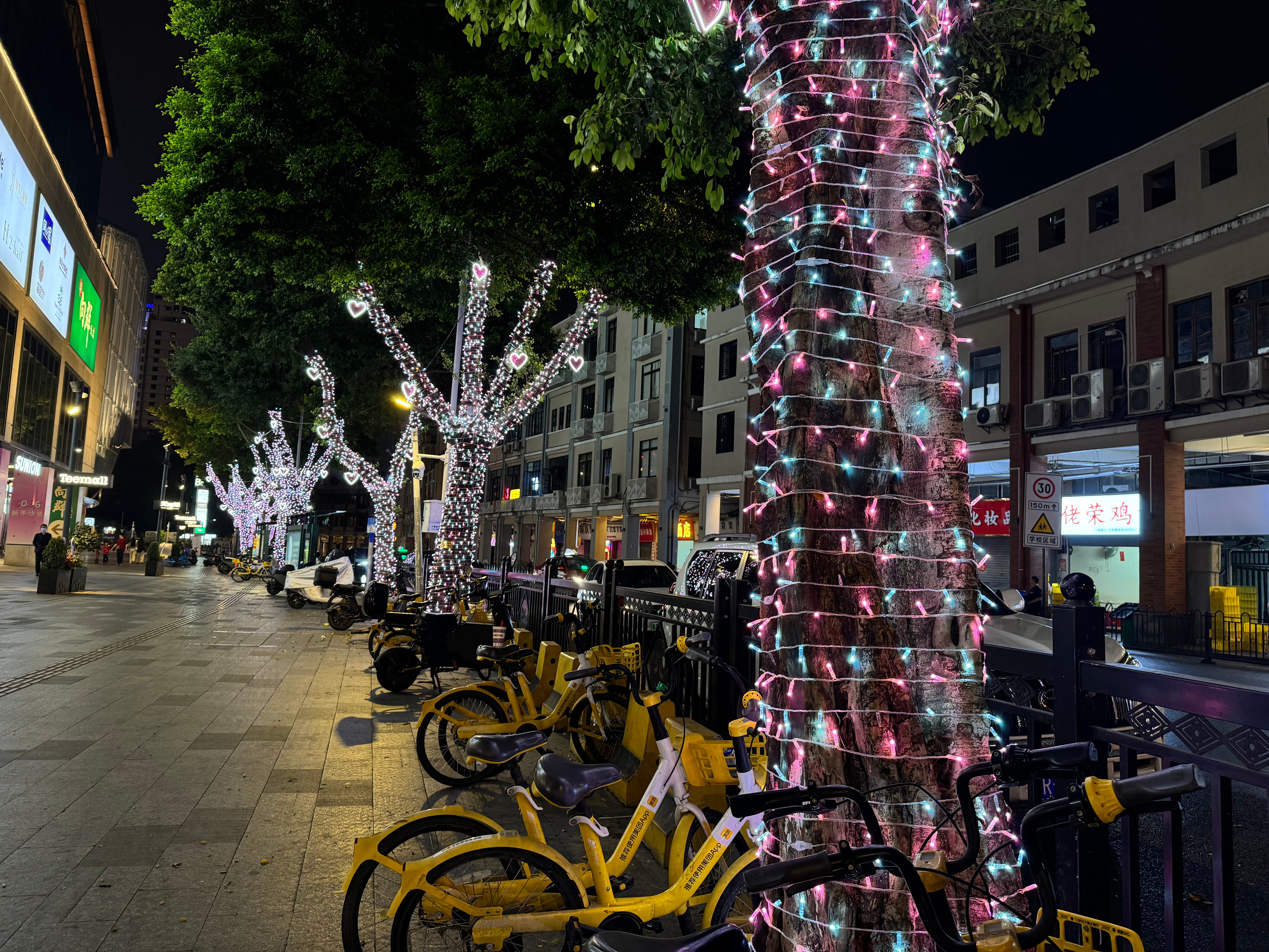 Where to Buy Bulk Coloured Christmas Tree Lights for Retail Resale?