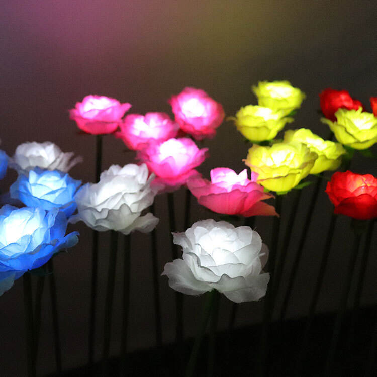主图_02(0ec4cbbe72).jpg