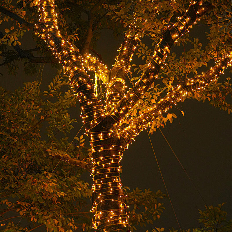 How to Choose the Best Tree Lights for Seasonal Decor?