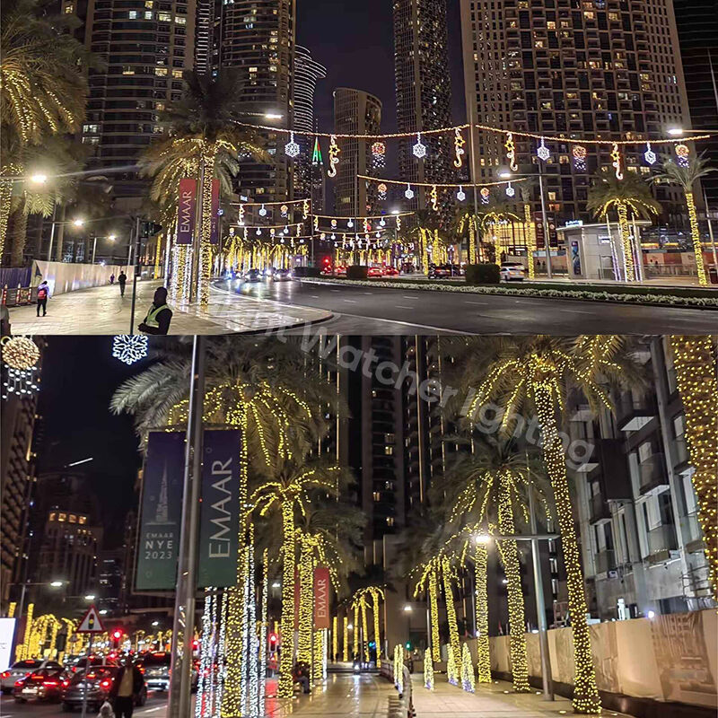 Dubai Urban Lighting Project  Night Watcher Lighting