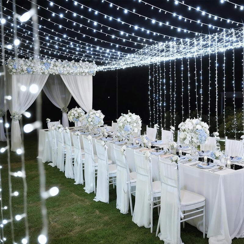 What Are the Most Popular Styles of Outdoor Festive Lights This Season?