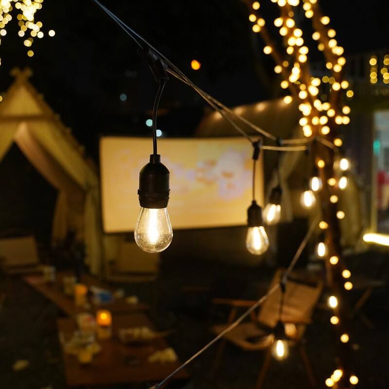 What Makes LED Outdoor Festoon Lights a Smart Choice?