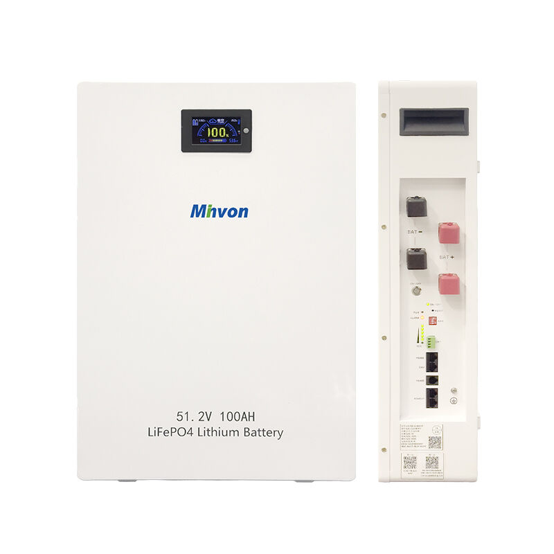 ชุดแบตเตอรี่ลิเธียมเหล็กฟอสเฟต (LiFePO4) แบบติดผนัง 51.2V 100Ah 5kWh พร้อมระบบจัดการแบตเตอรี่ในตัว (BMS) สำหรับระบบพลังงานแสงอาทิตย์แบบออฟกริด/กริดไท