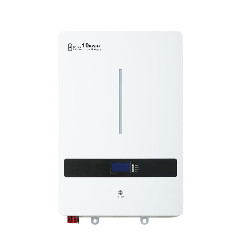 LiFePO4 Lithium Battery-Wall-Mounted