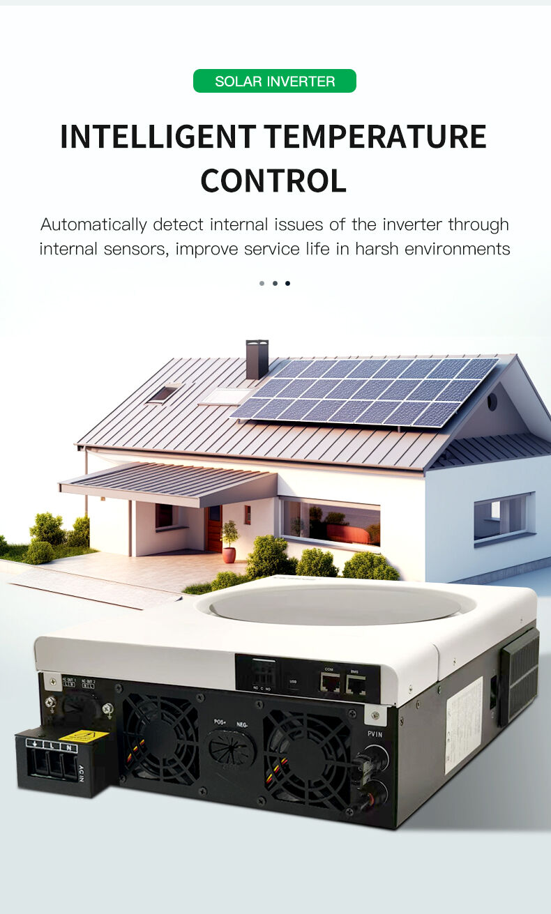 48v programmable supply priority dual load outputs-3