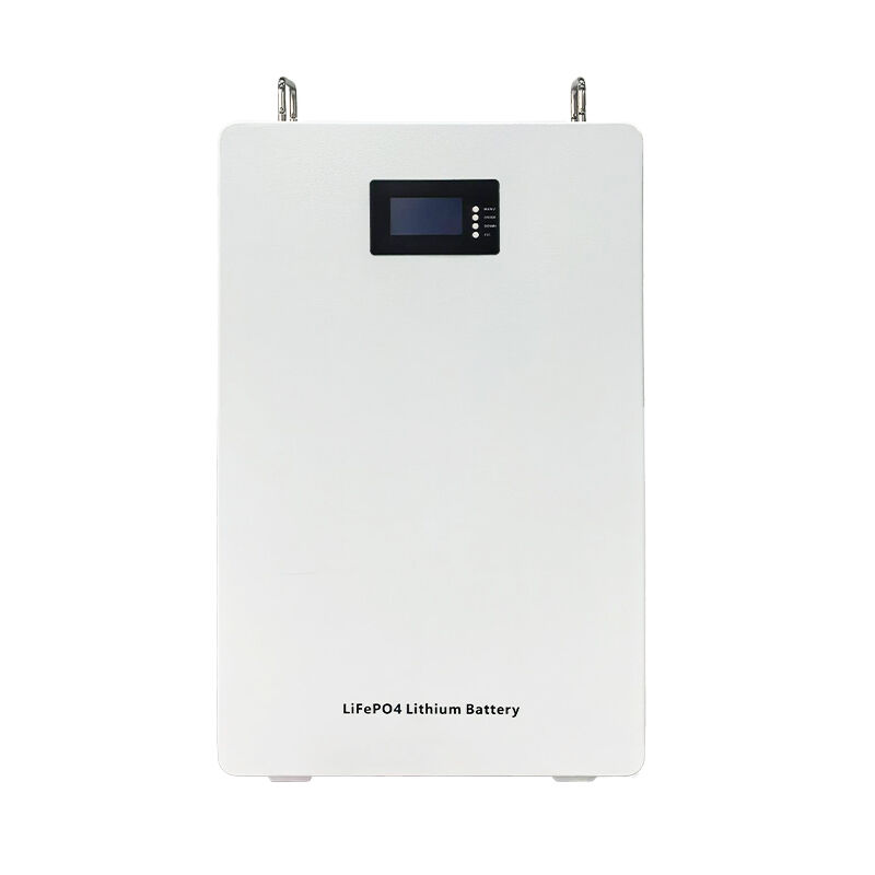 LiFePO4 Lithium Battery-Wall-Mounted