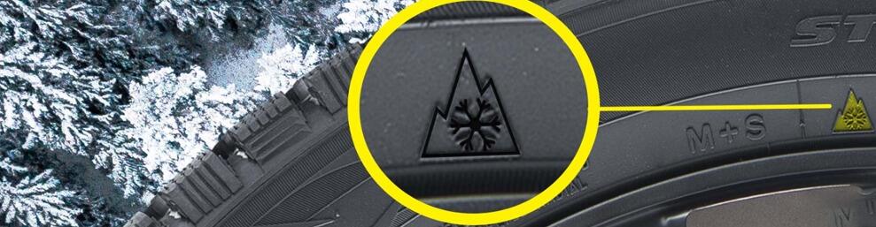 FEDIMA Fw02 11R22.5 Winter Snow Truck Tyre Whith 3Pmsf supplier