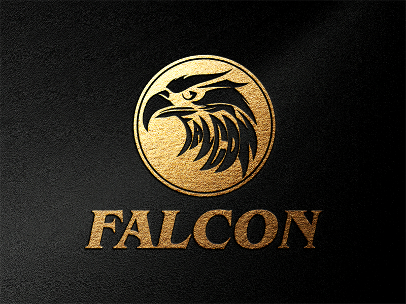 FALCON Brand: Forging Excellence with Craftsmanship, Leading the Future with Innovation——Unveiling FALCON’s Core Values and Vision