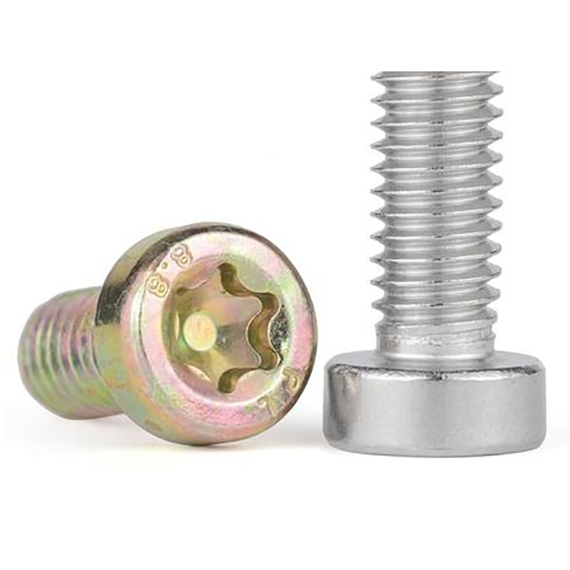 Torx Head Bolt