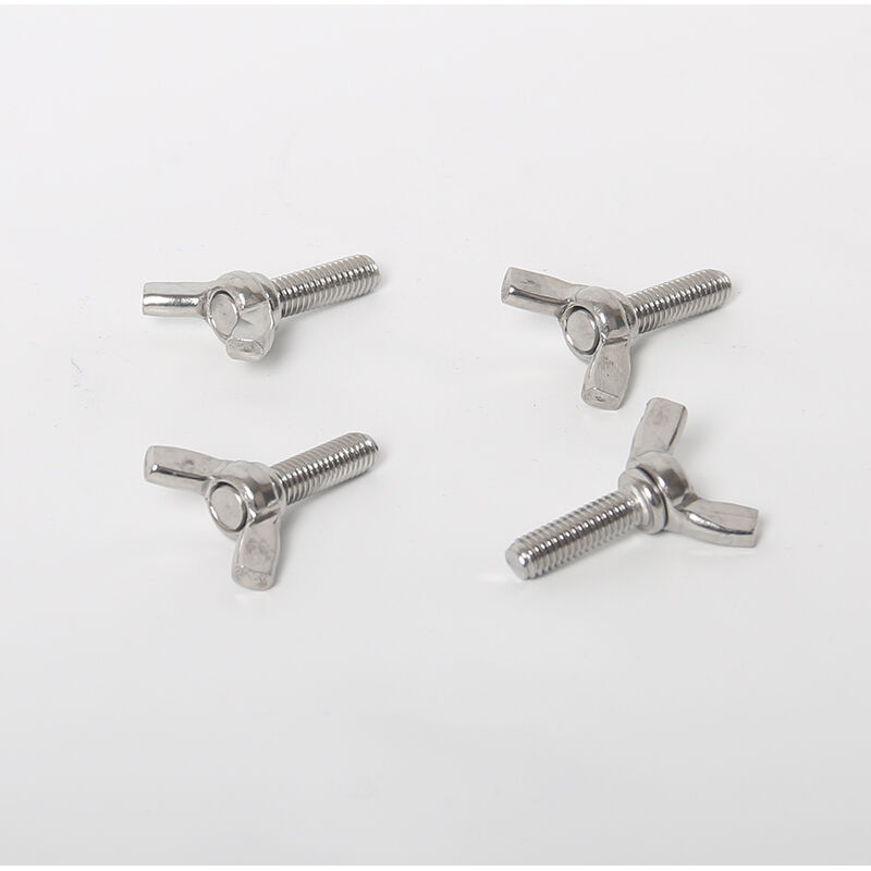 SS WING BOLT