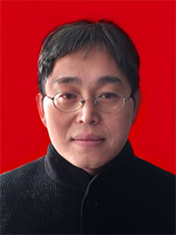 Professor Wang Jiesheng