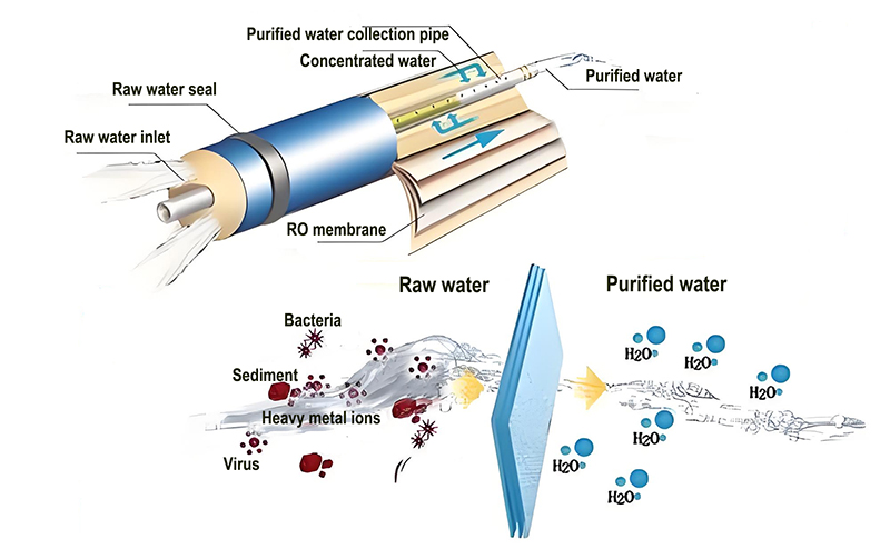 反渗透原理图.jpg
