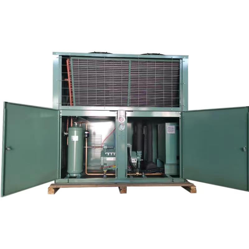 Compressor unit