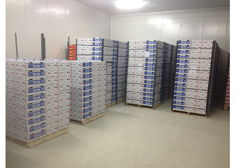 Peruvian fruit cold storage project