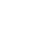 Expérience étendue en mise en œuvre de projets