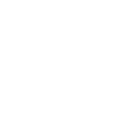 Capacité interne de développement logiciel