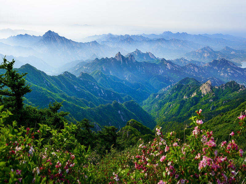 Embracing Spring, Sharing Joy | Yantai Yulong Commodity Co., Ltd. Hosts a Heartwarming Spring Outing to Kunyu Mountain