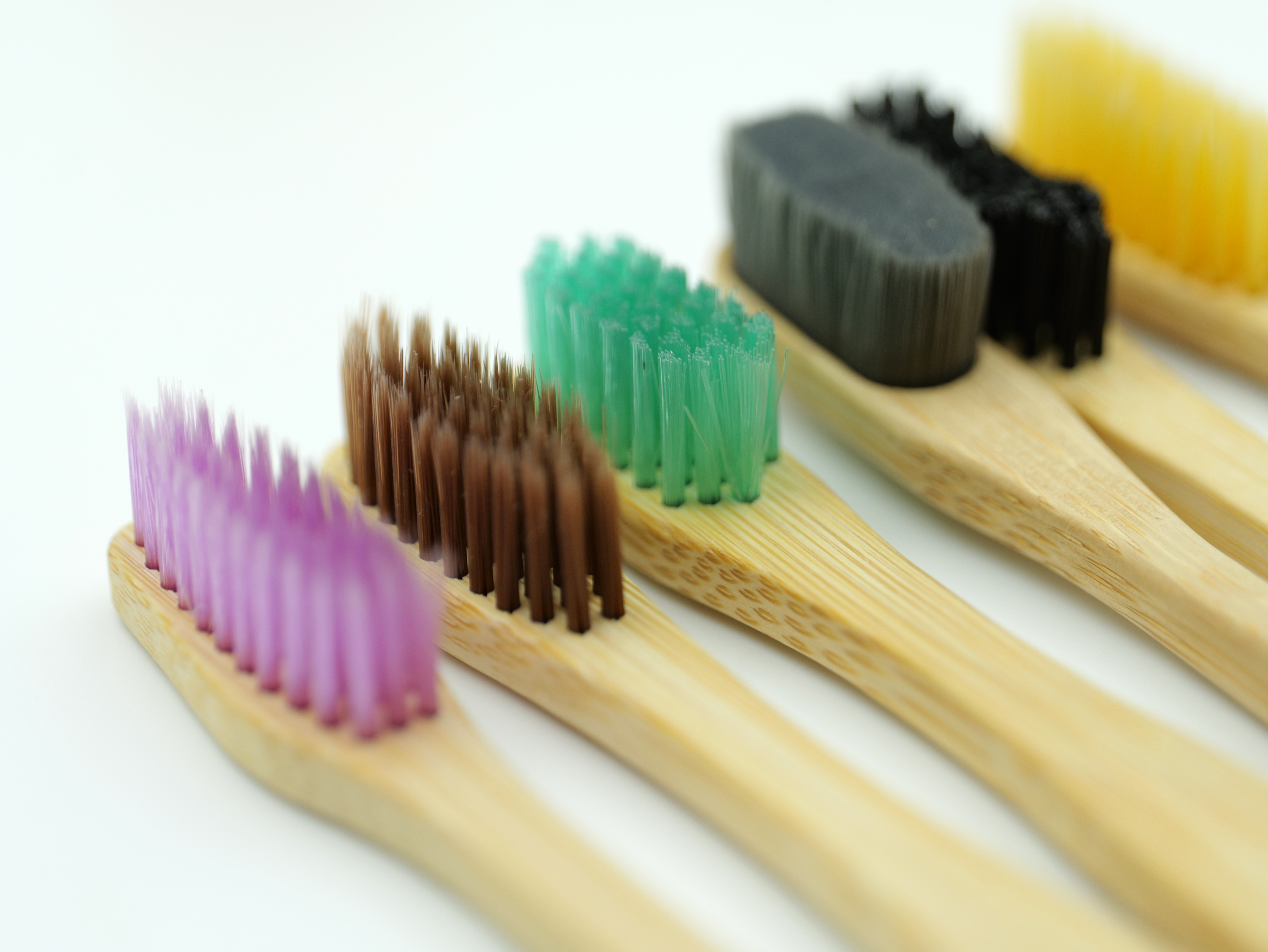 Different bristles.JPG