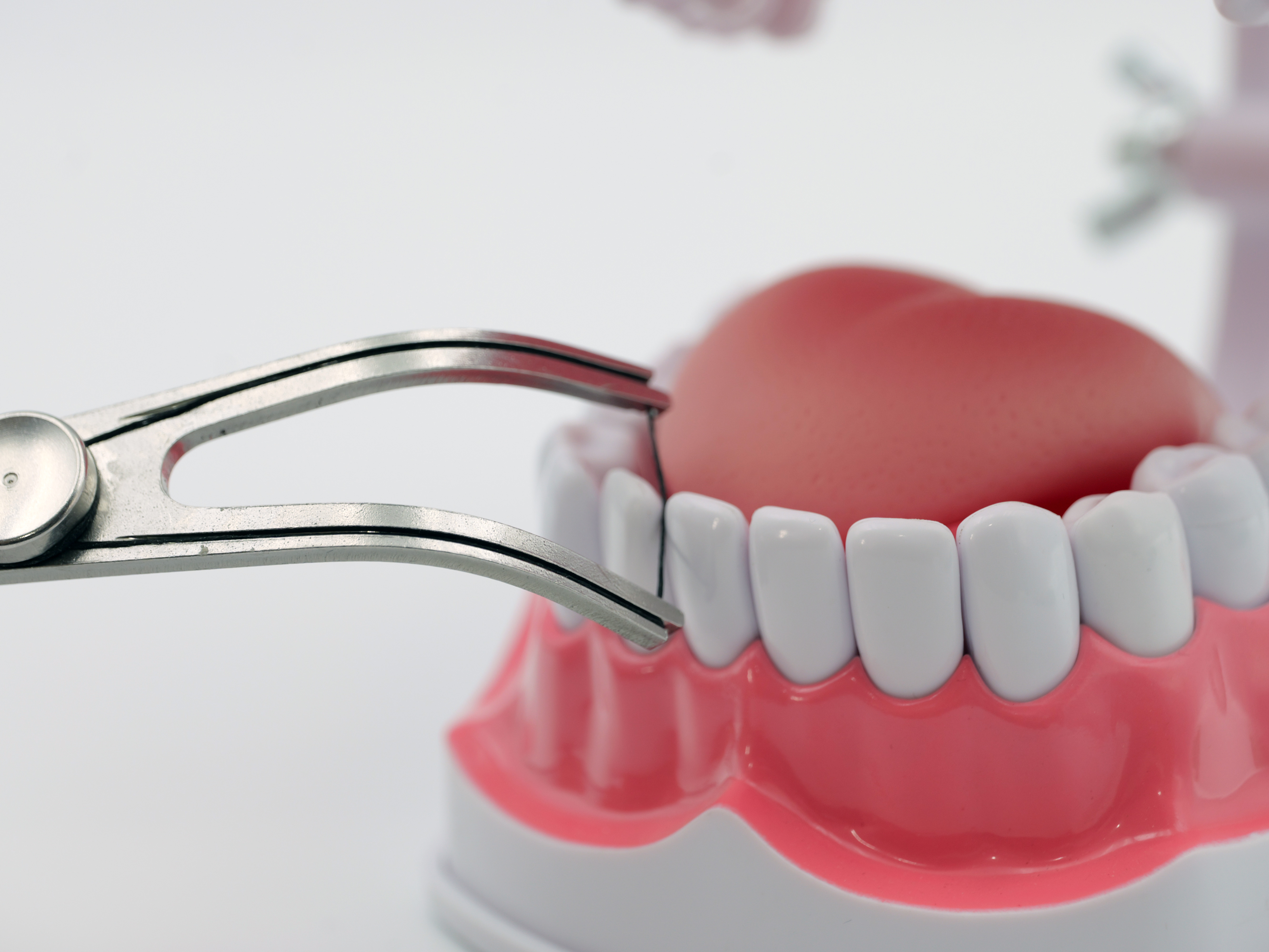 The Smart Choice for Sustainable Oral Care Brands