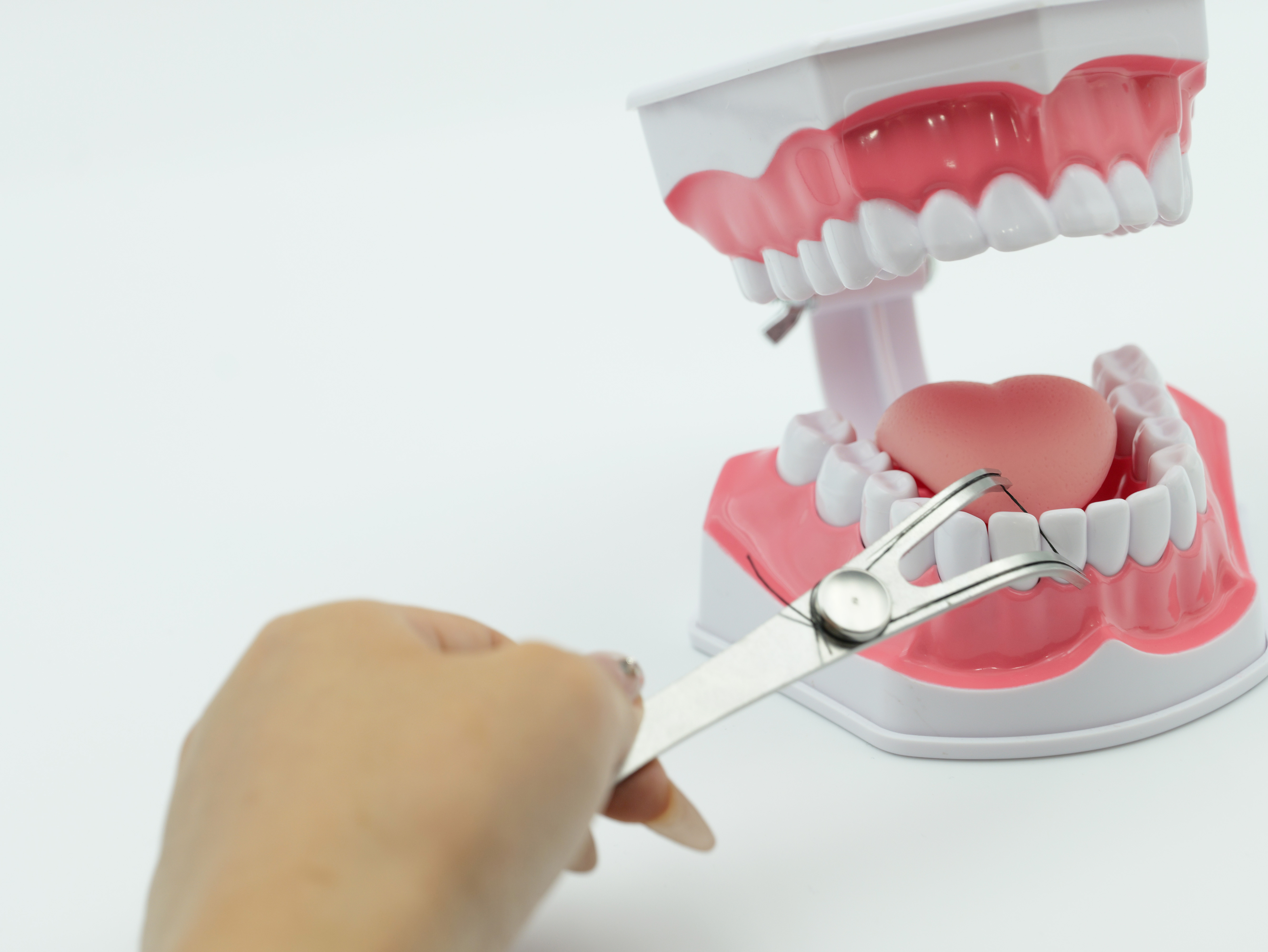 Where to Find Top-Rated Metal Floss Holders for Dental Practices