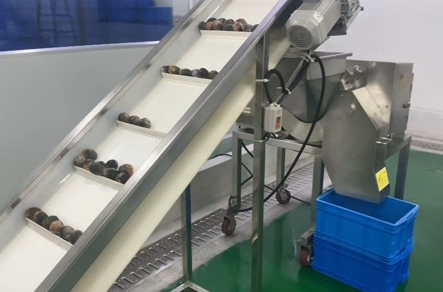 High-Precision Onion Dicing Solution for a Leading Food Processor
