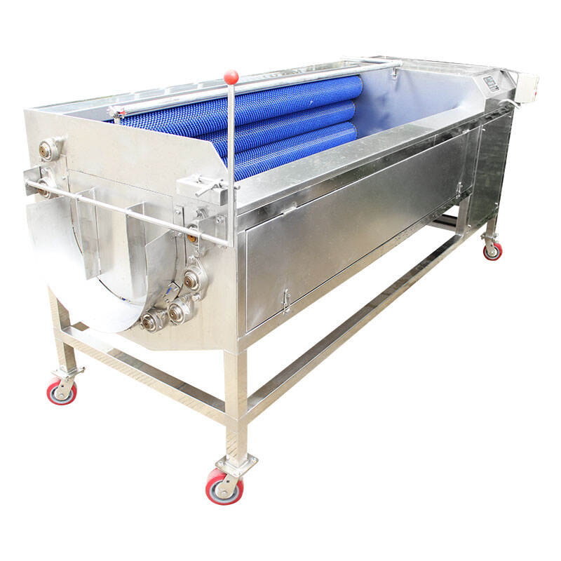 Brush roller washing machine