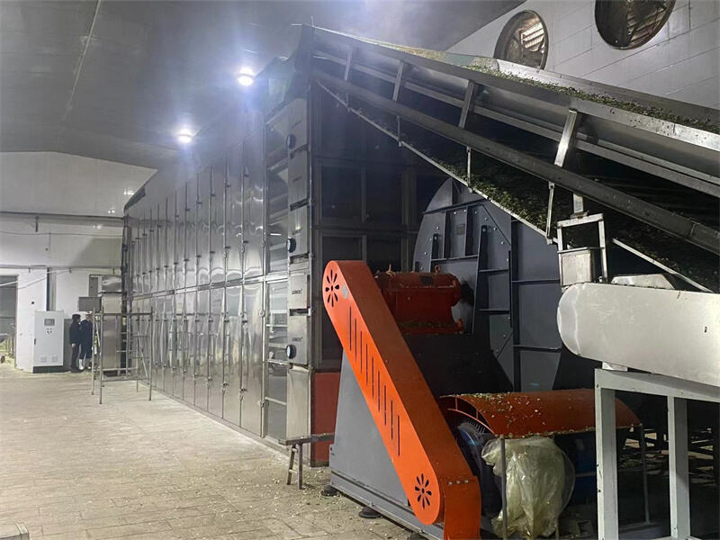 Integrated Dehydration Line: From Pre-treatment to Multi-layer Drying