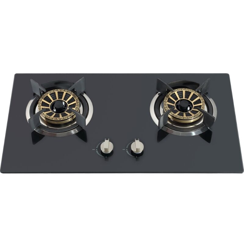 GS2G22 Factory Price Built in 2 Burner Gas Stove Cast Iron Pan Support Gas Hobs Household used