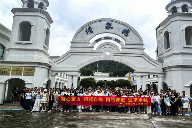 organize a company party