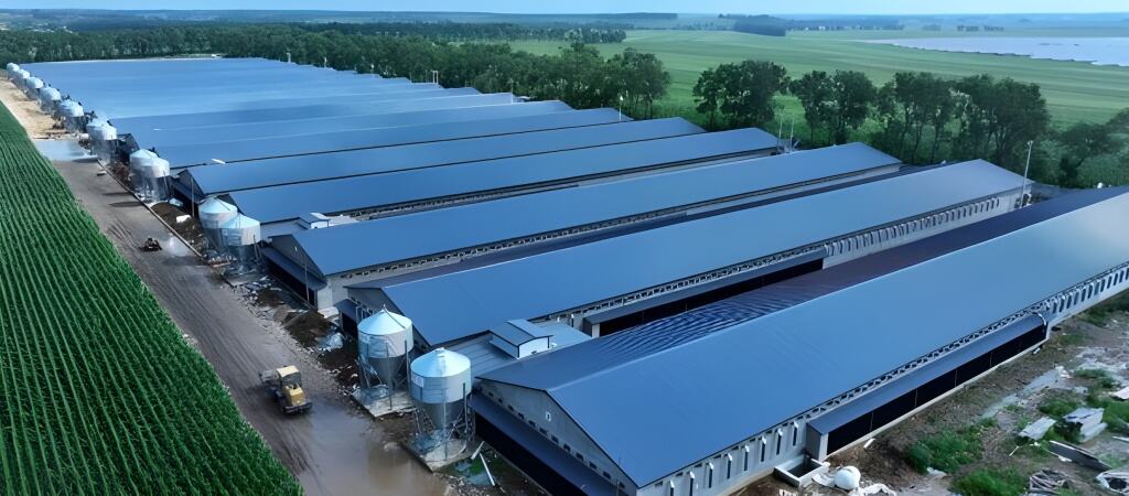 Family farms