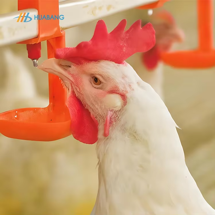 Superior Feeding Performance