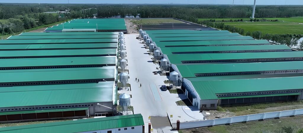 Efficiency Boost for Large-Scale Farms