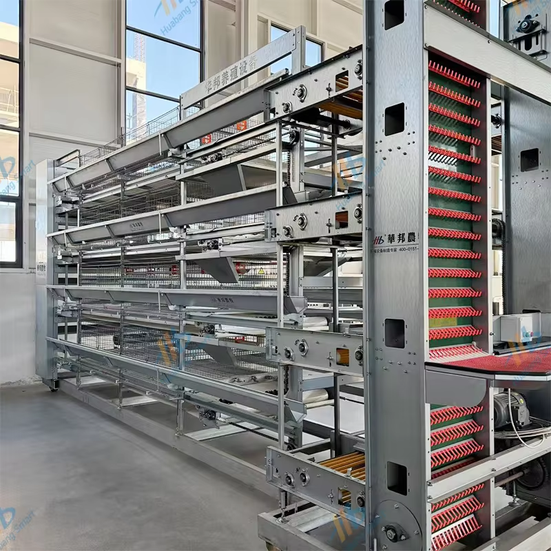 Hranitori Automati pentru Poultry Ajustabili: Potrivite de la Pui până la Păsări Adulте