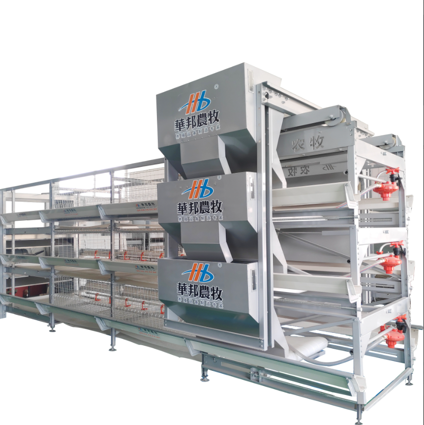 How does broiler chicken cage boost growth rate and reduce mortality?
