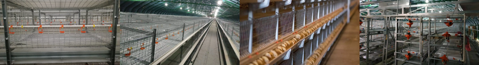 Poultry equipment H Type 4 tiers chicken cage battery cages for layers Chicken layer cage details