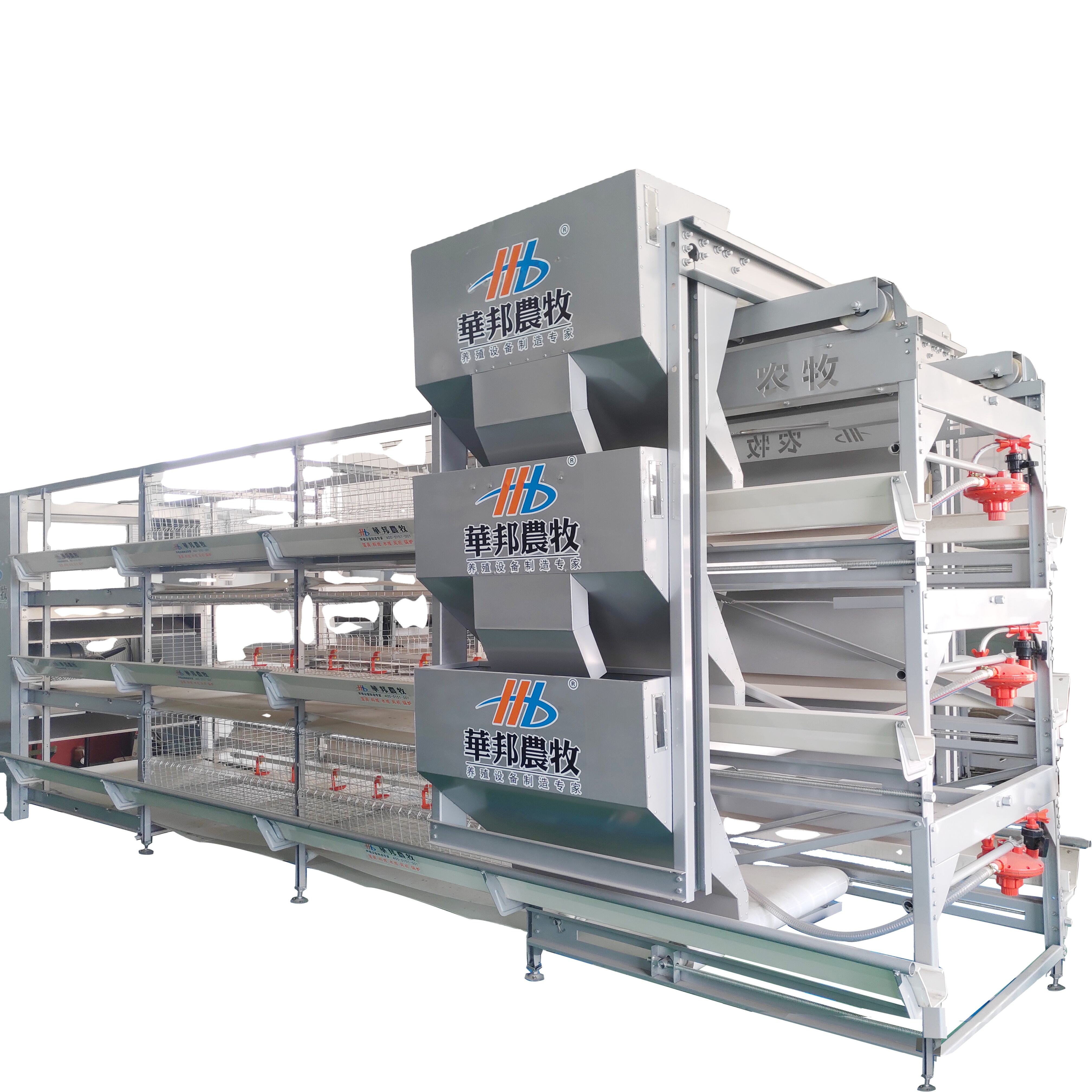 Full automatic poultry layer cage systems with agricultural greenhouse equipment poultry battery