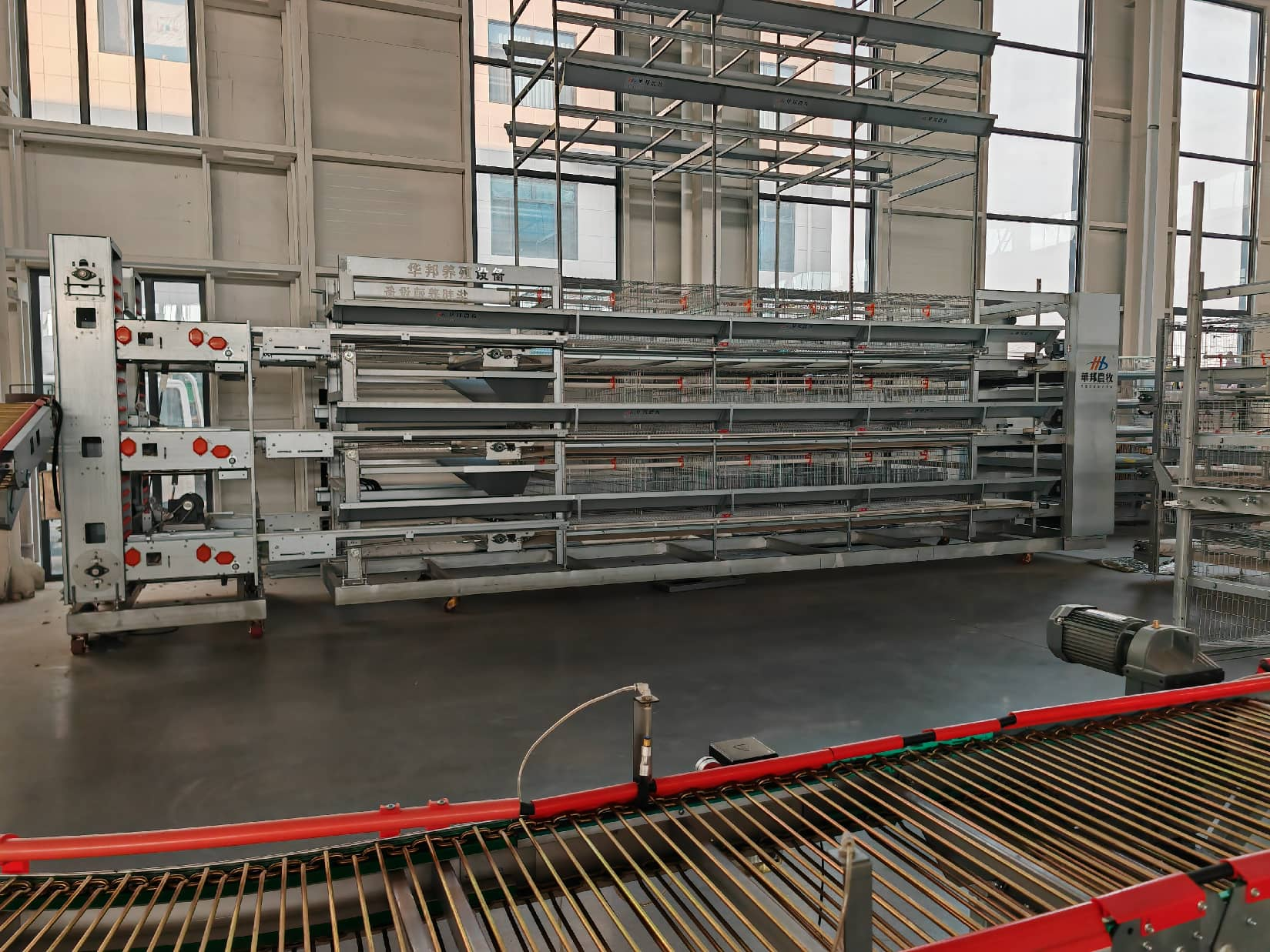 What advantages does automatic chicken cage bring to modern farms?