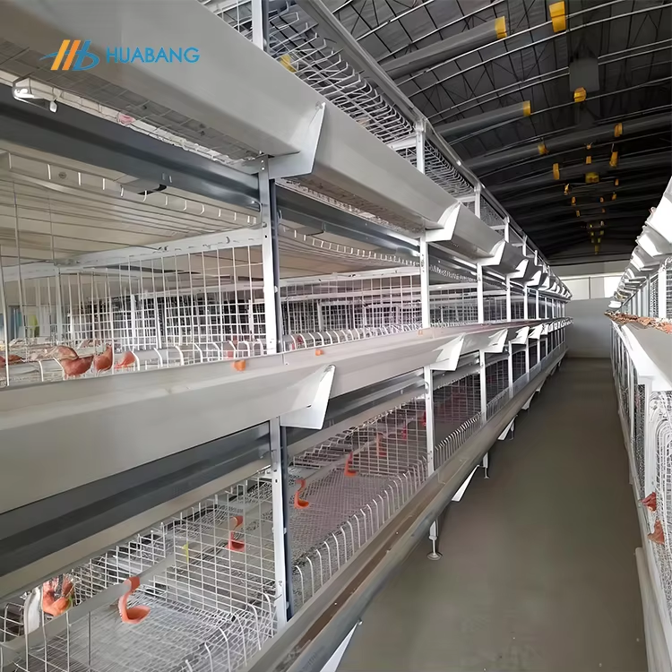 Højkvalitets fjerkræbur forbedrer landbrugseffektivitet markant