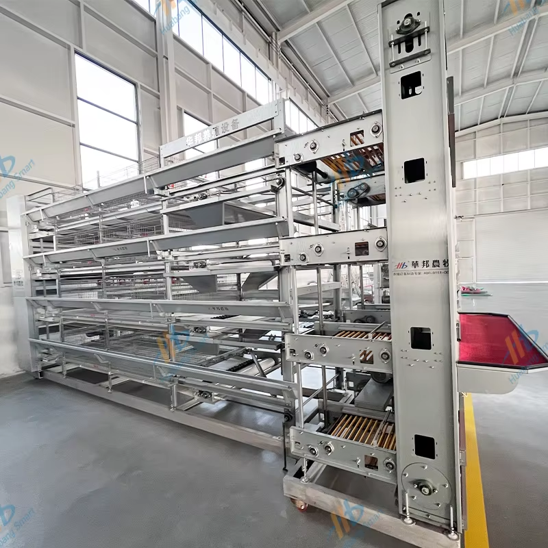 Sisteme Automate de Gheare pentru Gaini: Îmbunătăți Eficiența cu Alimentare și Curățare Inteligente