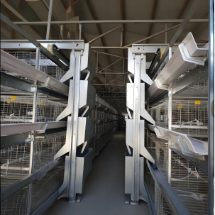 অটোমেটিক পোলট্রি ফিডার: কৃষকদের জন্য শ্রম খরচ হ্রাস করুন