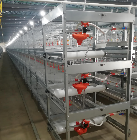 대규모 농장에 이상적인 최고의 닭 사육 케이지의 주요 특징은 무엇인가요?