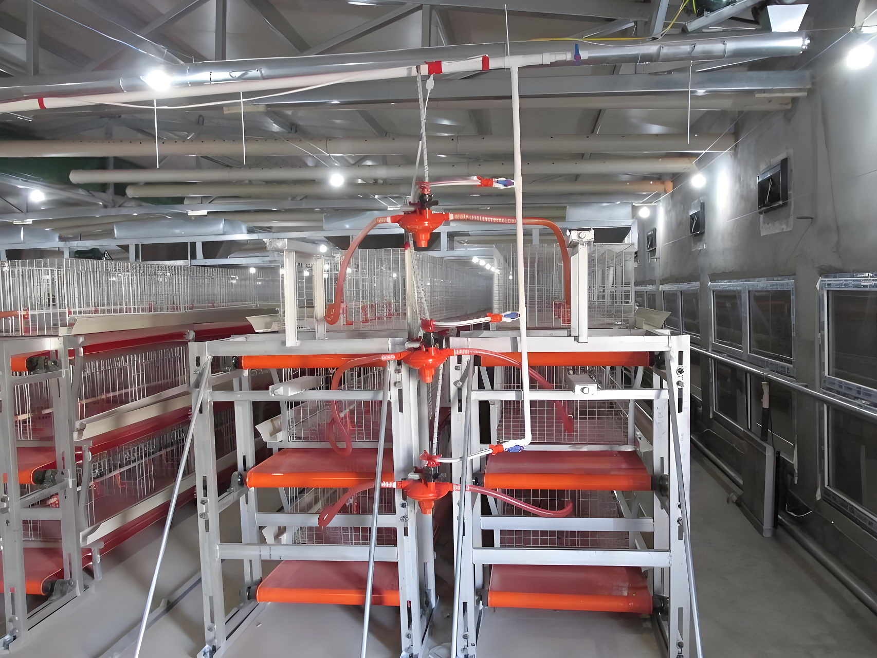 Hvilket landbrugsmaskineri forbedrer bekvemmeligheden ved opdræt af fjerkræ?