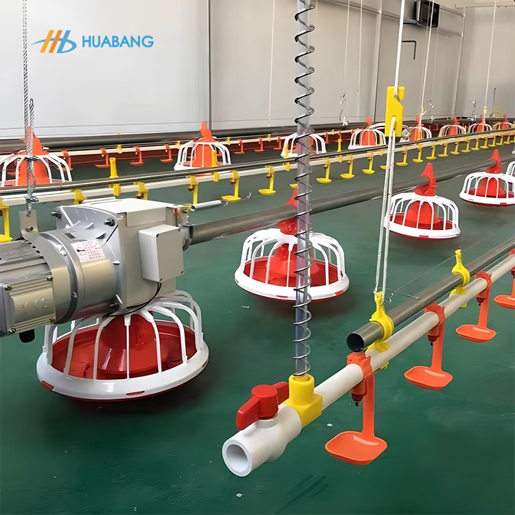 Broiler Floor Equipment