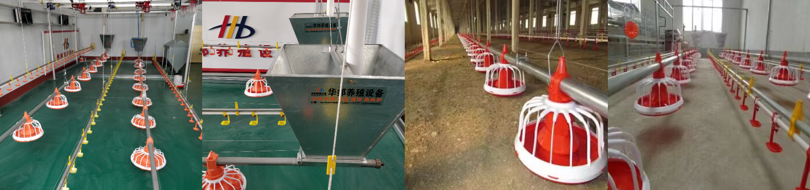 Durable Automatic Broiler Chicken Feeder Pan Big Chicken Feeding System Adjustable Pan New Condition End Line Poultry Control factory