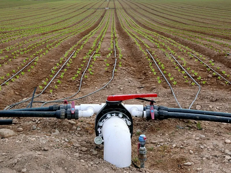 The Role Of HDPE Pipes In Agricultural And Landscape Applications